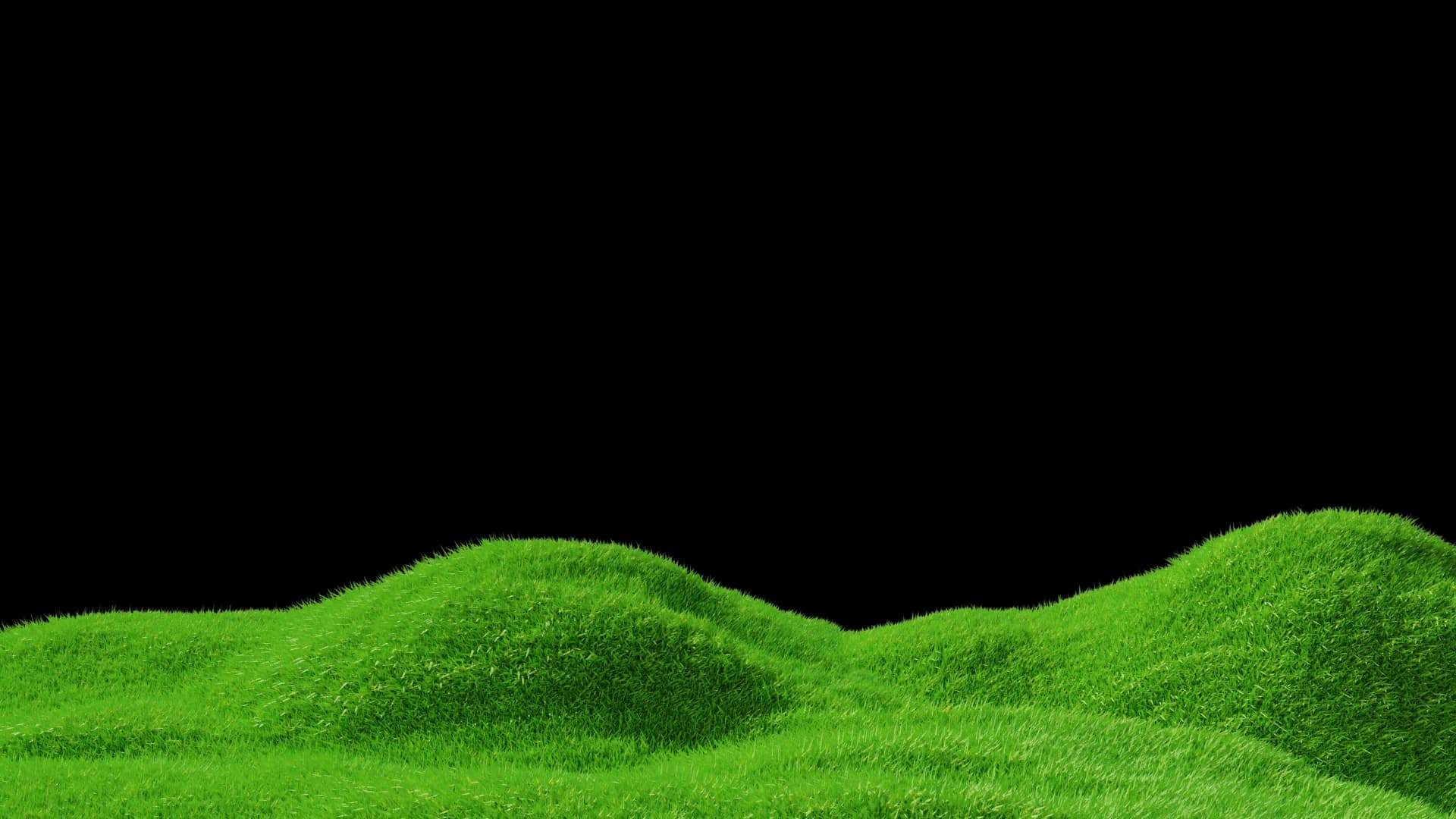 Cloverfield Studio footer grass landscape design element