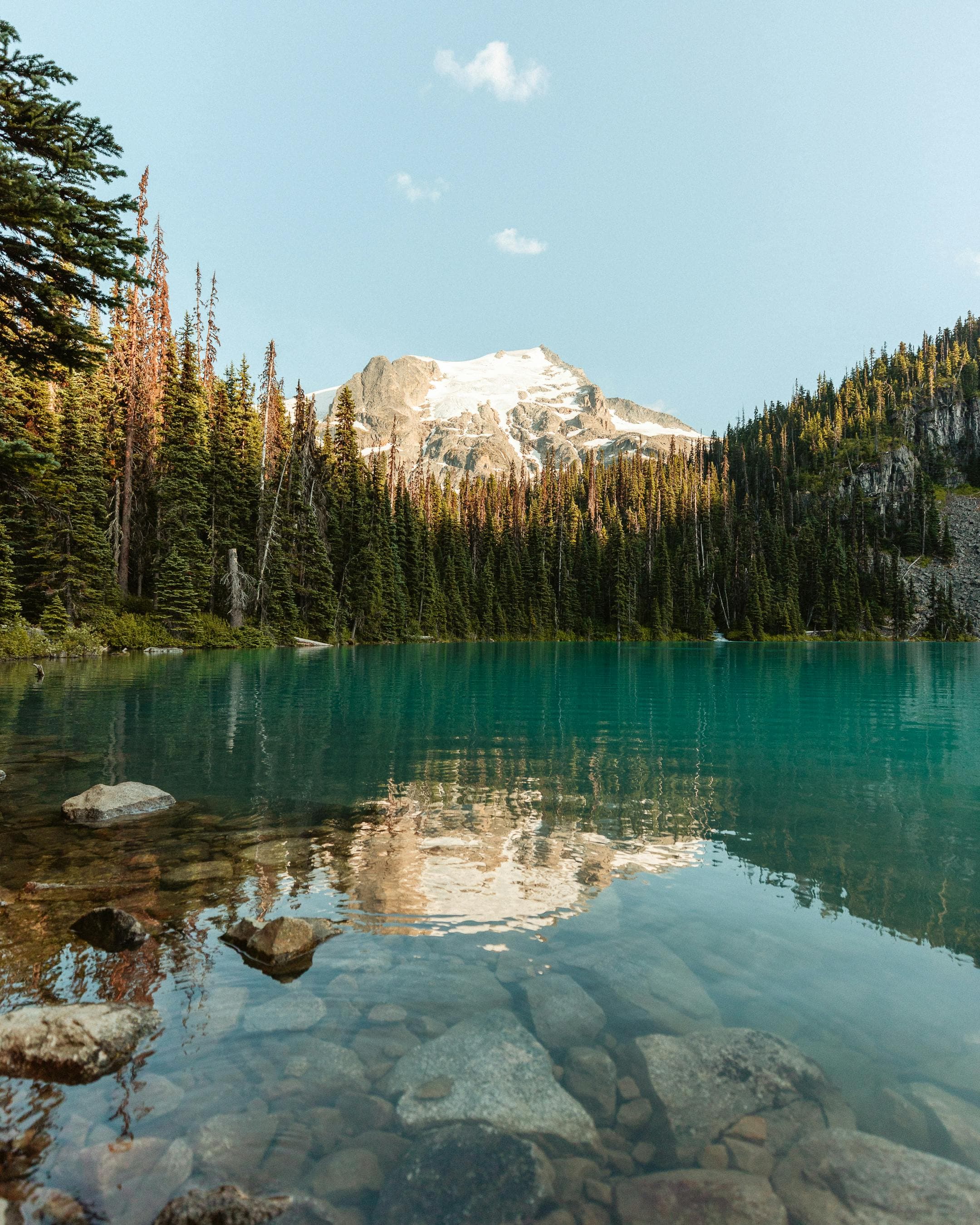 Transforming Landscapes — A research initiative on First Nations-led real estate development in BC. | Custom web design by Cloverfield Studio Surrey BC